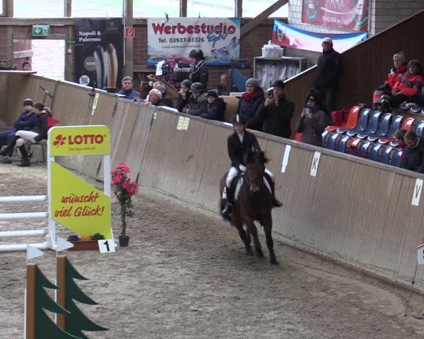Reitturnier Krumke 2024