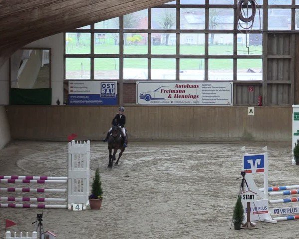 Reitturnier Krumke 2024