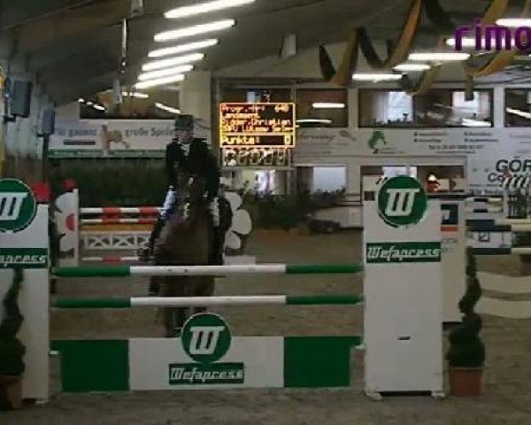Vreden 2011