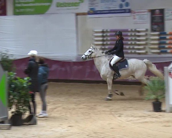 Reitturnier Eicherloh RH Laurent/Obb. 2024