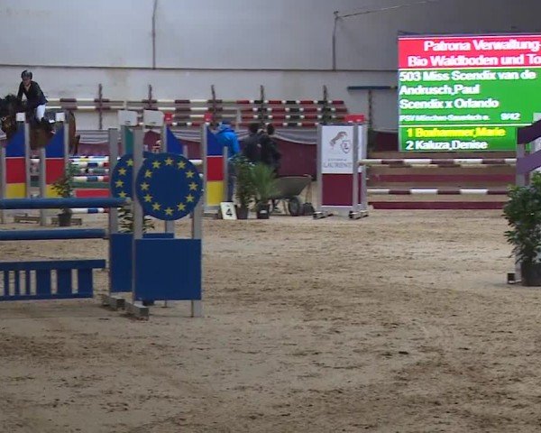 Reitturnier Eicherloh RH Laurent/Obb. 2024