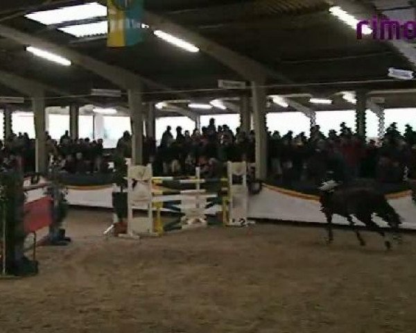 Vreden 2011