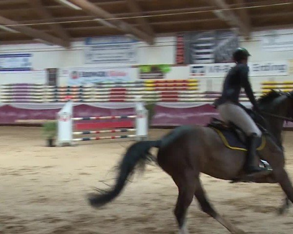 Reitturnier Eicherloh RH Laurent/Obb. 2024