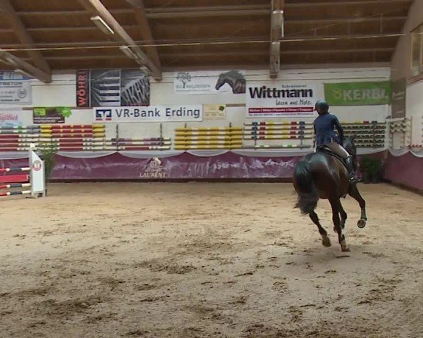 Reitturnier Eicherloh RH Laurent/Obb. 2024