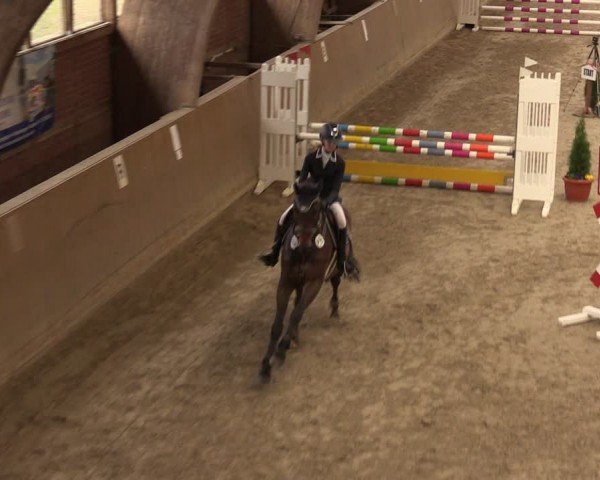 Reitturnier Krumke 2024