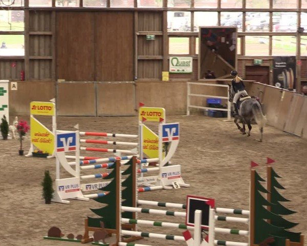 Reitturnier Krumke 2024