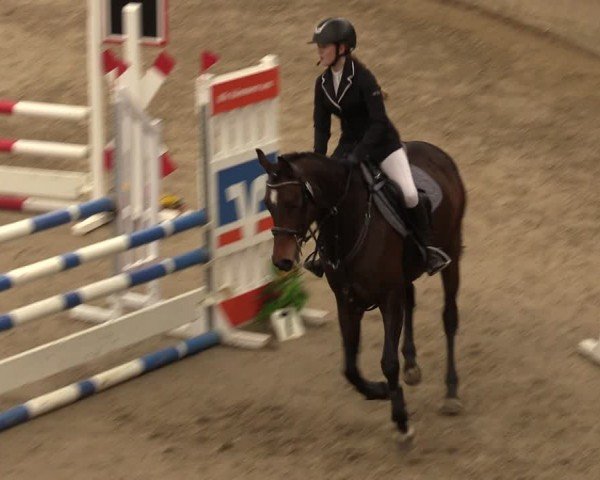 Reitturnier Krumke 2024