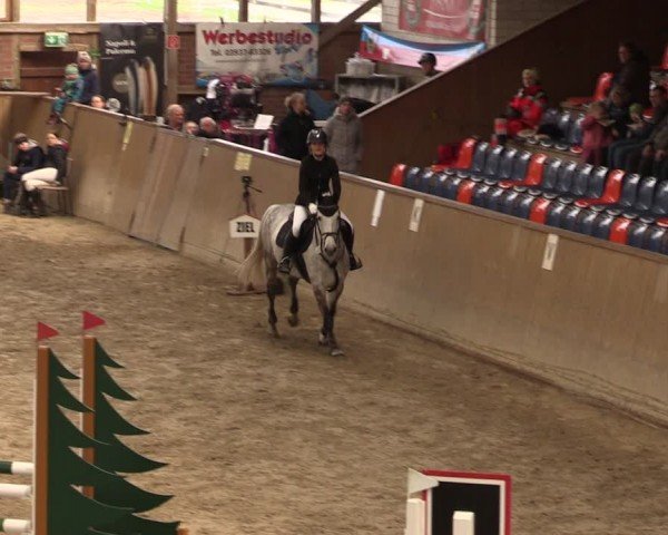 Reitturnier Krumke 2024