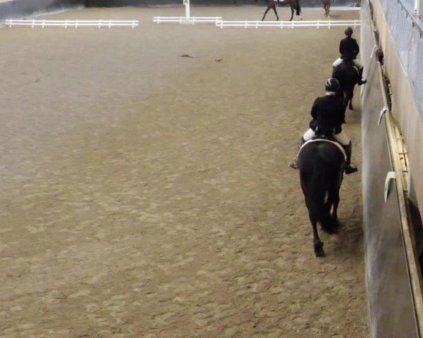 Reitturnier Weil der Stadt 2024
