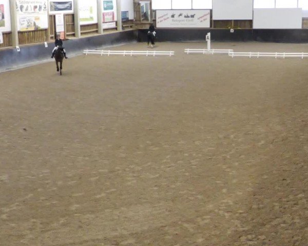 Reitturnier Weil der Stadt 2024