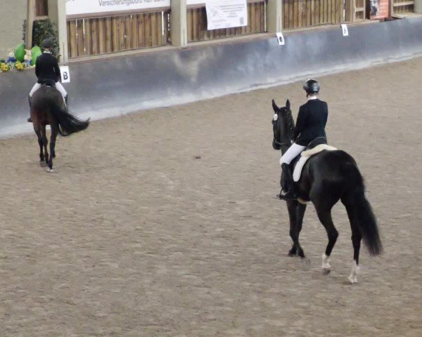 Reitturnier Weil der Stadt 2024