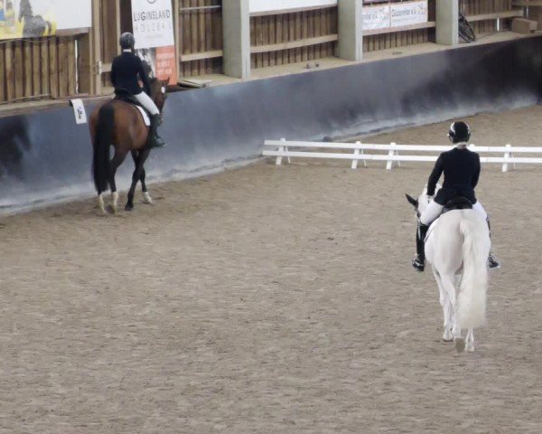 Reitturnier Weil der Stadt 2024