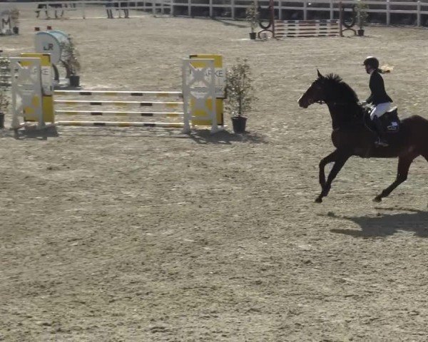 Reitturnier St. Margarethen 2024