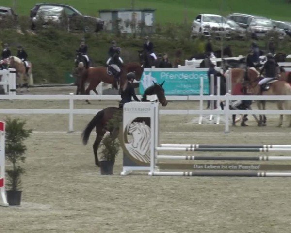Reitturnier St. Margarethen 2024