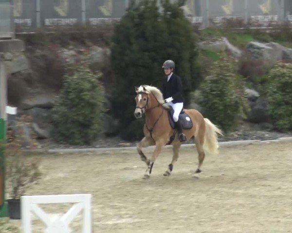 Reitturnier St. Margarethen 2024