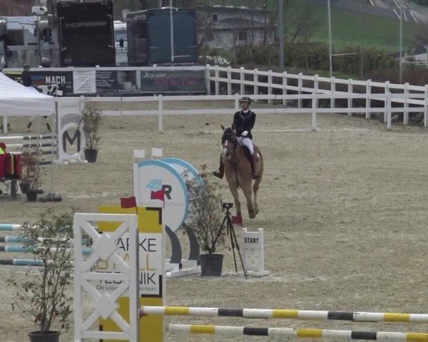 Reitturnier St. Margarethen 2024