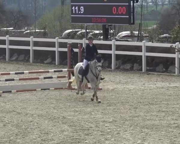 Reitturnier St. Margarethen 2024