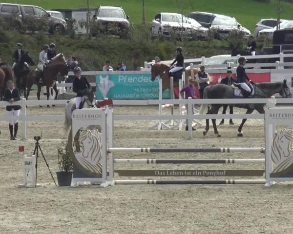Reitturnier St. Margarethen 2024