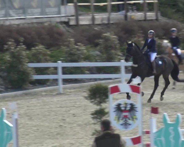 Reitturnier St. Margarethen 2024