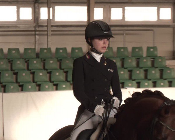 Reitturnier Zweibrücken-Landgestüt / Halle 2024