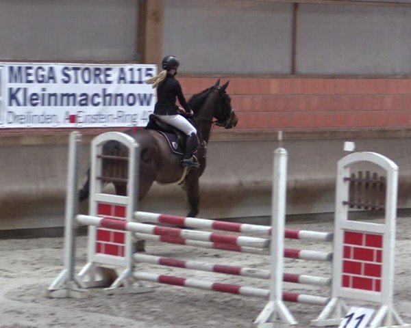 Reitturnier Tremsdorf, Eichenhof 2024