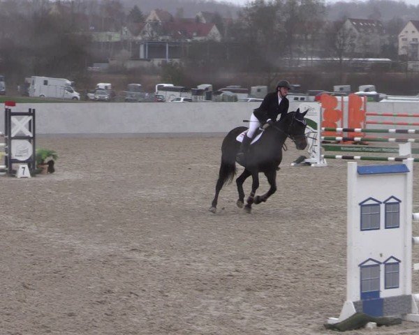 Reitturnier Zwickau 2024