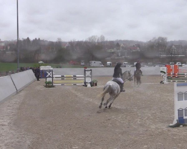 Reitturnier Zwickau 2024