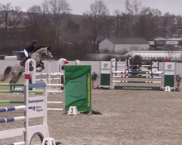 Reitturnier Zwickau 2024