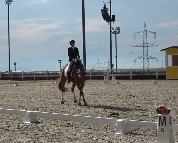 Reitturnier St. Margarethen 2024