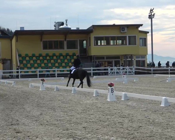 Reitturnier St. Margarethen 2024