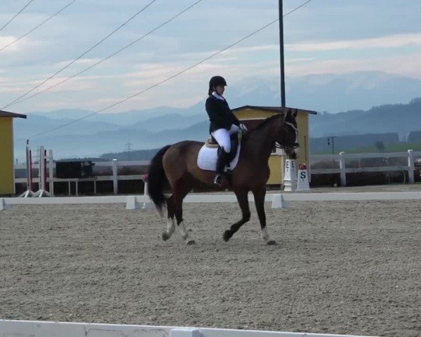 Reitturnier St. Margarethen 2024