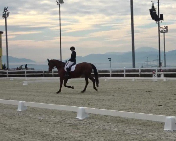 Reitturnier St. Margarethen 2024