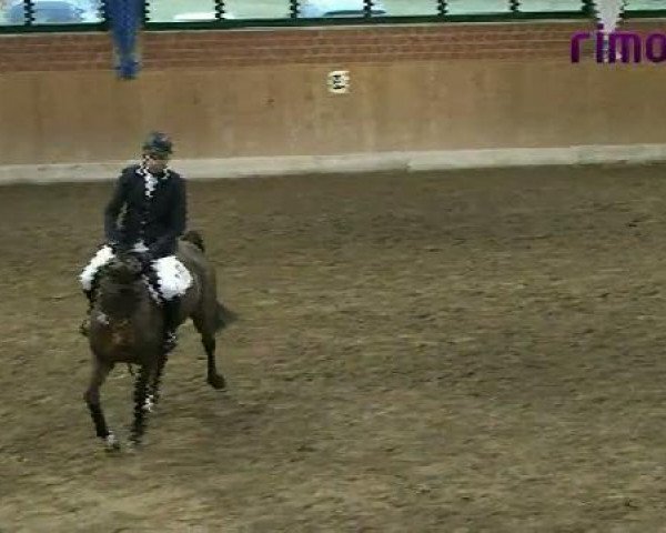 Heiden 2011