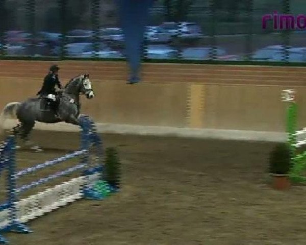 Heiden 2011