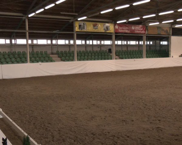 Reitturnier Zweibrücken-Landgestüt / Halle 2024