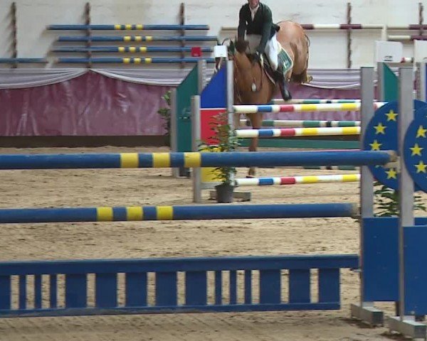 Reitturnier Eicherloh RH Laurent/Obb. 2024