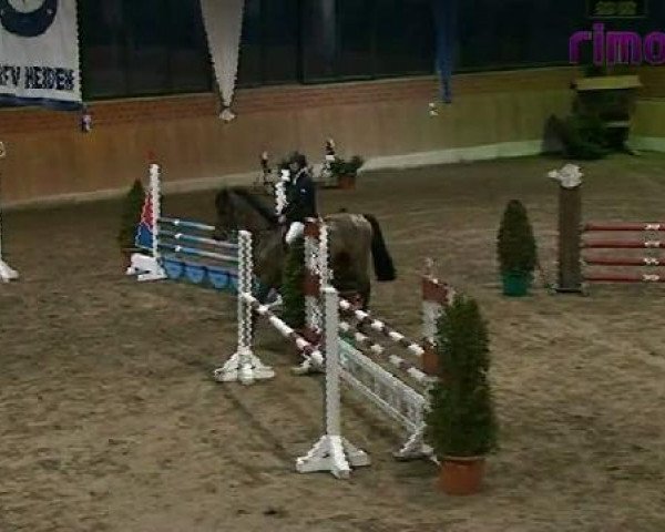Heiden 2011