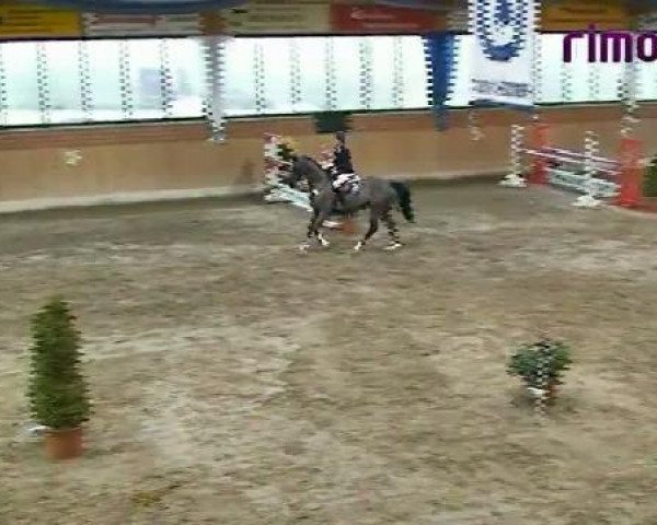 Heiden 2011