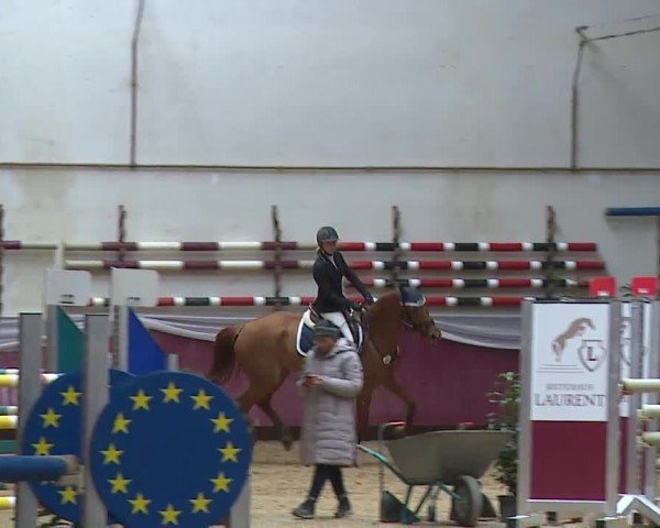 Reitturnier Eicherloh RH Laurent/Obb. 2024