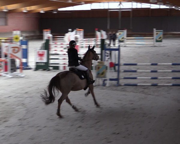 Reitturnier Tremsdorf, Eichenhof 2024