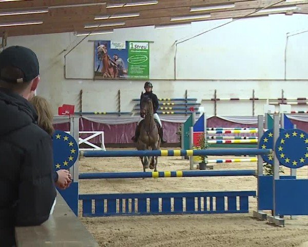 Reitturnier Eicherloh RH Laurent/Obb. 2024