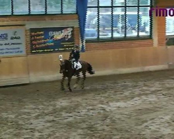 Heiden 2011