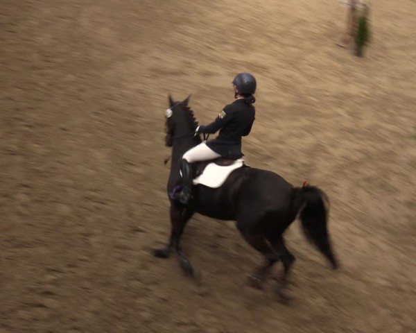 Reitturnier Krumke 2024