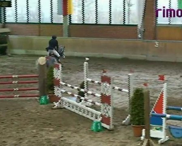Heiden 2011