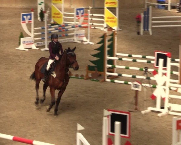 Reitturnier Krumke 2024