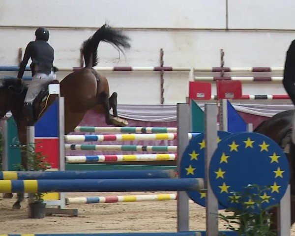 Reitturnier Eicherloh RH Laurent/Obb. 2024