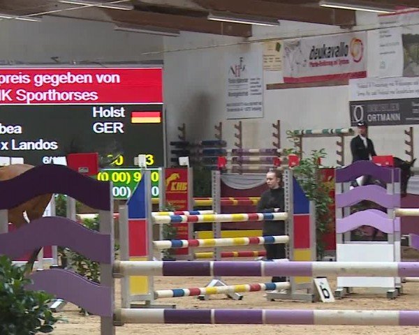 Reitturnier Eicherloh RH Laurent/Obb. 2024