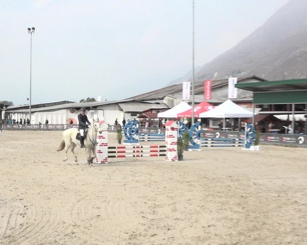 Reitturnier Giubiasco 2024