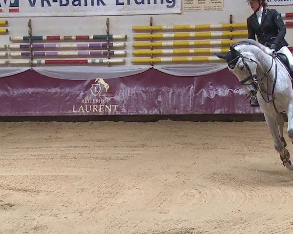 Reitturnier Eicherloh RH Laurent/Obb. 2024