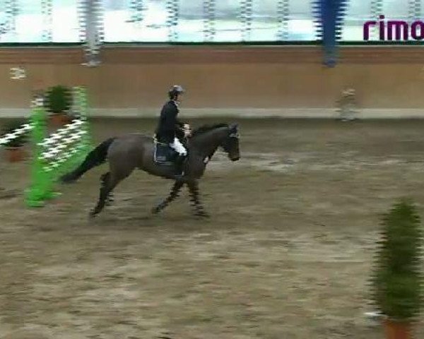 Heiden 2011